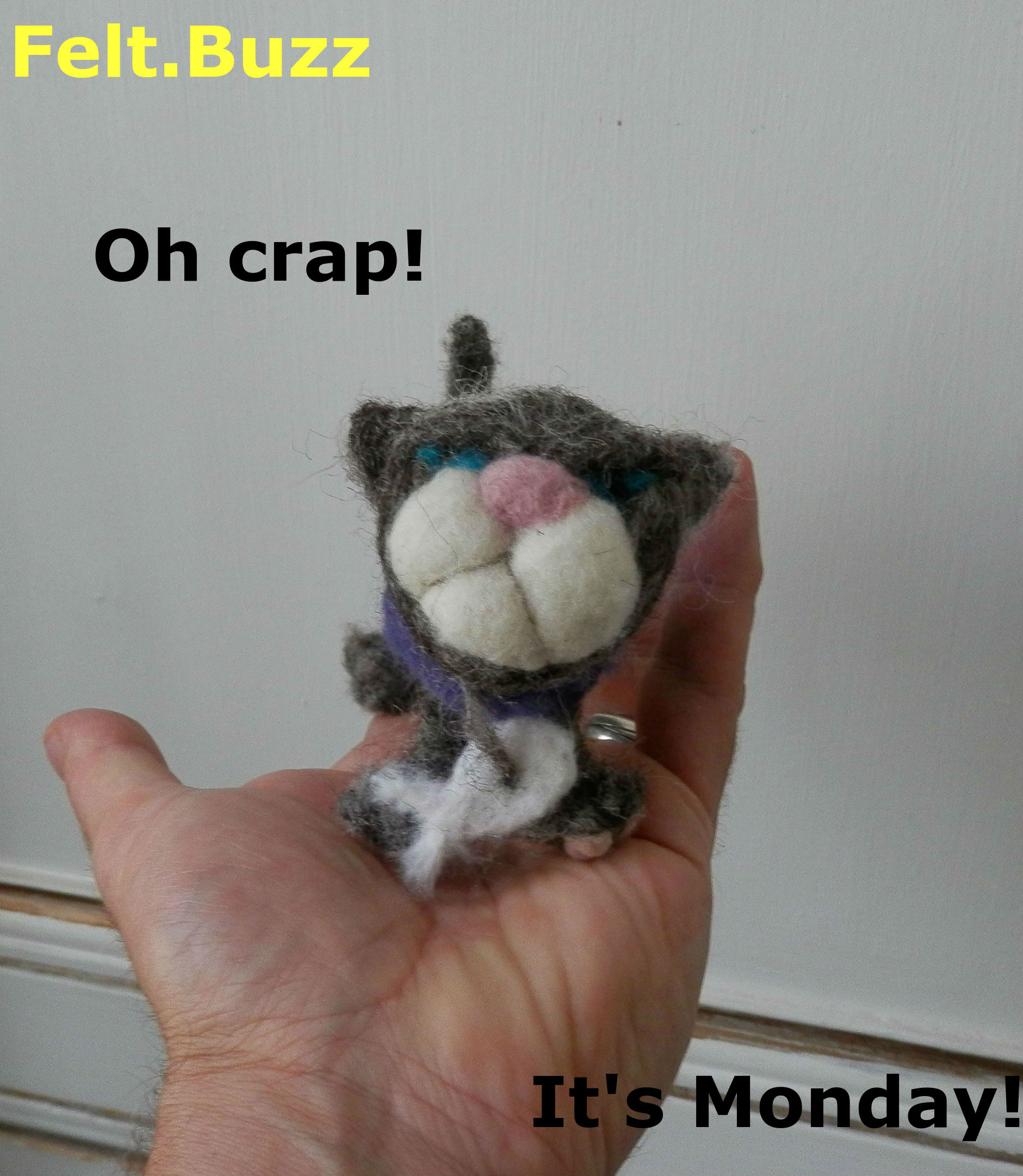 grumpy cat Crap its monday